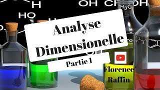 Analyse Dimensionnelle partie 11STS [upl. by Pain]