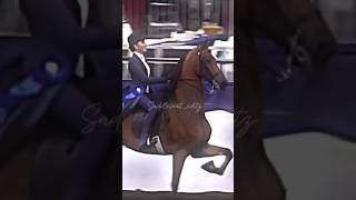 Jaqueline Schatzberg and Sedgefield’s Extraordinary saddleseat equestrian saddlebred equitation [upl. by Brozak]