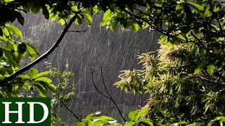 Regen  HD  Regengeräusche und Naturgeräusche [upl. by Carnes531]