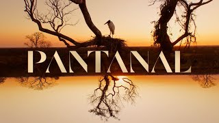 Pantanal a abertura da nova novela das 21h 🐆  TV Globo [upl. by Ozkum]