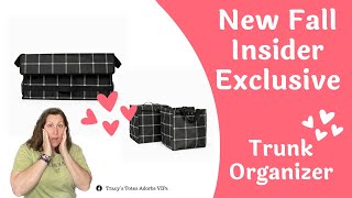 Thirty Ones New Fall 2023 Insider Exclusive  The Trunk Organizer [upl. by Holloway]