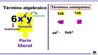 Términos semejantes I 3ero de primaria [upl. by Ayikin]