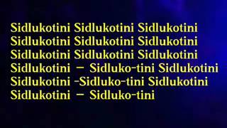 Riky Rick  Sidlukotini lyrics 2016 [upl. by Thorstein]