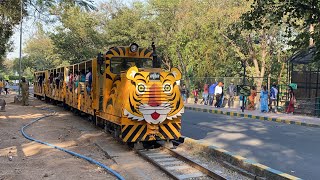 Hyderabad Zoo Park 2024  Nehru Zoological Park  Zoo Park in Hyderabad  Bahadurpura  Telangana [upl. by Noraa60]