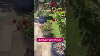 Get to Know Our Garden [upl. by Mendy]