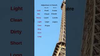 Easy French Words for Everyday Descriptions frenchforbeginners frenchpronunciation [upl. by Annaet332]