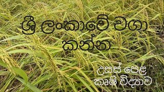 ශ්‍රී ලංකාවේ වගා කන්න​  Agricultural Science for Advance Level Examination Sinhala medium [upl. by Atisusej]