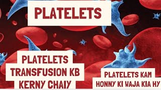 What is the PLATELETs and Function  PLATELETS kB Transfusion kerny chaiy CRITICAL CONCEPT [upl. by Brita772]