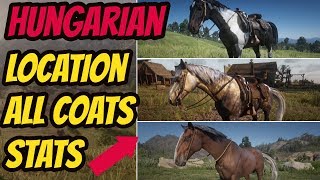 Red Dead Redemption 2 Hungarian Halfbred LOCATION amp ALL COATS amp STATS GOOD HORSE GUIDE [upl. by Enyr]