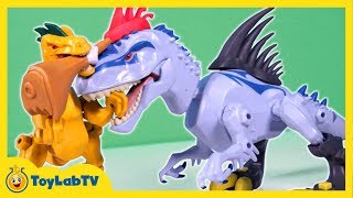 Jurassic World Toys Indominus Rex vs Velociraptor Mash Pack [upl. by Carrillo59]