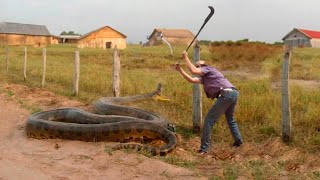 TENTOU MEXER COM A SUCURI ERRADA E O PIOR ACONTECEU [upl. by Gnuhn728]