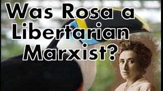 Rosa Luxemburg and the Myth of Her quotLibertarian Marxismquot [upl. by Brubaker]