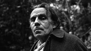 Entretiens avec le professeur Y  Quatrième et dernière partie  Louis Ferdinand Céline [upl. by Jerusalem920]