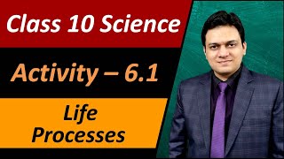 Activity 61 Class 10 Science Chapter 6 Life processes [upl. by Maleki]