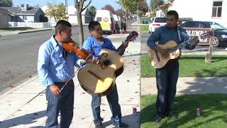 TRIO DE VIOLIN MIXTECO ORIGEN DE OAXACA  Chilena de Violin de la Mixteca [upl. by Mickey]