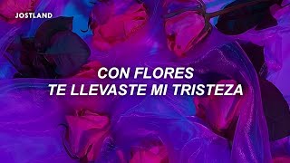 con flores te llevaste mi tristeza con colores LetraLyrics [upl. by Kahle]