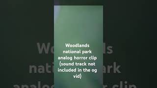 woodlands national park analog horror clip analoghorror woodlandsnationalpark [upl. by Boutis]