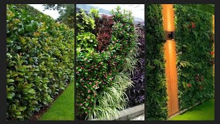 Indoor vertical garden ideas  New garden green wall ideas [upl. by Dasteel189]