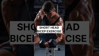 Short head bicep exercises bicepcurl bicepbicepsworkoutbiceps musclebuildingbicepsexercise [upl. by Haroved138]