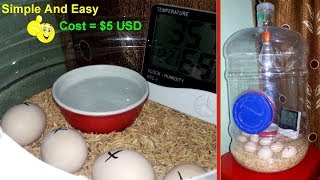 DIY  Hatching Egg Incubator Simple And Easy  Homemade Incubator [upl. by Nabetse376]