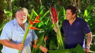 The Garden Gurus  Heliconia and Tropical Ginger [upl. by Rist]