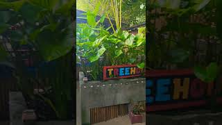 Thailand weather report Oct21 The Tree House Koh Samui [upl. by Kenley]