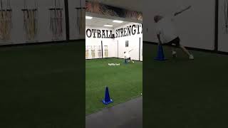 AGILITY TEST fitness quick fast agility mobility mobile training conditioning strength [upl. by Mure]