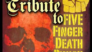 Coming Down  Five Finger Death Punch Acoustic Tribute [upl. by Elletnuahs]