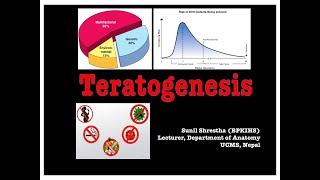 Teratogenesis Anatomy Shortcut channel [upl. by Petronille]