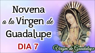 Séptimo día de la Novena a la Virgen de Guadalupe Sábado 9 de Diciembre 2023 💖Virgen de Guadalupe [upl. by Orban]