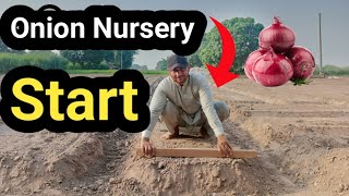 Onion Nursery 🧅 Cultivation Start  Village Life Vlog [upl. by Sivrad]