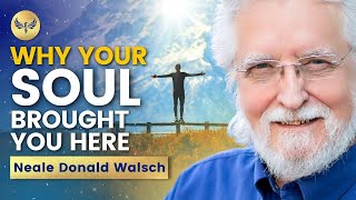 Why YOUR SOUL Brought You HERE  Your PURPOSE Is More OBVIOUS Than You Think  Neale Donald Walsch [upl. by Ylim985]