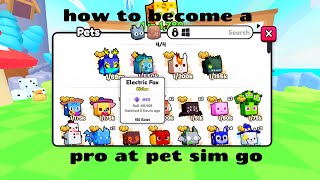 How to become a pro at pet sim go [upl. by Ecnerrat]