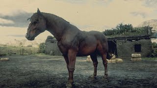 Red Dead Redemption 2 Every Horse  Red Chestnut Suffolk Punch [upl. by Acinhoj86]