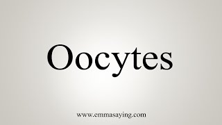 How To Say Oocytes [upl. by Alekehs]