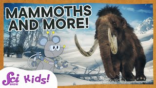 Woolly Mammoths Mastodons and Amazing Teeth  SciShow Kids [upl. by Sinclair]