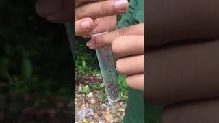 How to filter water with a syringe survival gorilla bushcraft outdoors shorts [upl. by Olgnaed164]