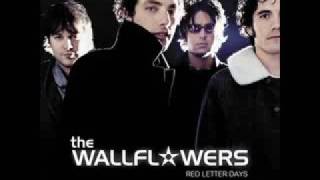 The Wallflowers One Headlight videoo [upl. by Boardman]