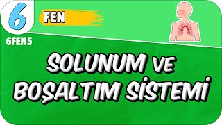 Solunum ve Boşaltım Sistemi 📗 6FEN5 2025 [upl. by Mohandis]