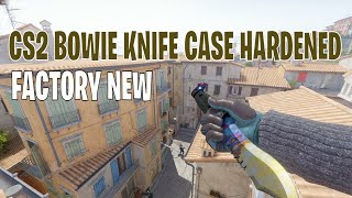 Bowie Knife Case Hardened  CS2 Skin Showcase 173 [upl. by Hyacinthia]