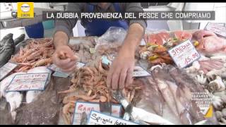 Affronte quotDa dove viene il pesce che mangiamoquot [upl. by Johm835]