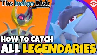 How to Catch ALL 25 Legendary Pokemon in Indigo Disk [upl. by Ramel]