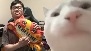 Cat Vibing to Ievan Polkka on Cat Piano [upl. by Breanne]