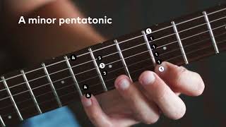 The A Minor Pentatonic Scale 1st Position [upl. by Catton]