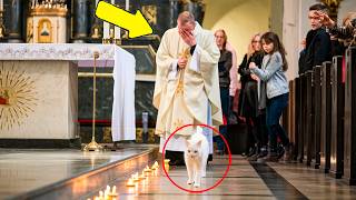 Katze Dringt in Kirche Ein und Alle Kerzen Erloschen Priester Wurde Blass Wegen des Grundes [upl. by Akiem]