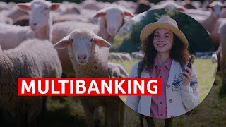 Multibanking  Bringen Sie Ihre Schäfchen ins Trockene [upl. by Jodoin]