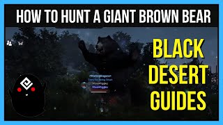 Giant Brown Bear Location and Hunt  Black Desert Online Guides  Bartalis Adventure Log 415 [upl. by Celestine603]