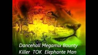 Dancehall Megamix Bounty Killer TOK Elephant Man Shaggy [upl. by Hephzipa]