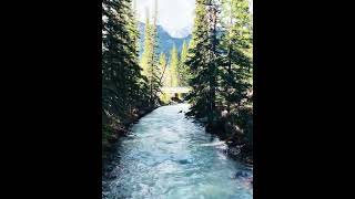 Johnston Canyon Trail Alberta🇨🇦 creek nature Godsgift [upl. by Sivad]