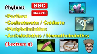 Animal Classification Lecture 3  Phylum 14  Class 10  SSC  Maharashtra state board [upl. by Eyt763]